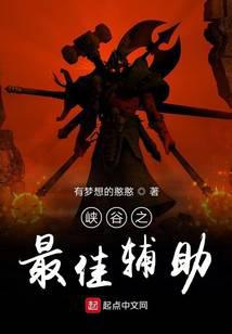 峡谷之最佳辅助